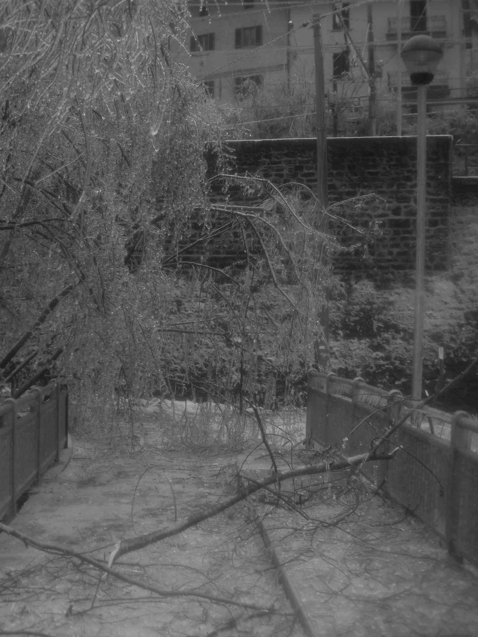  Image name: DSCF6753.JPG 
 width: 1536 pixel 
 height: 2048 pixel 
 Size: 181657 bytes 
 Click to enlarge 